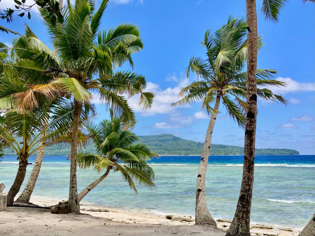 Tropical beach with palm trees.