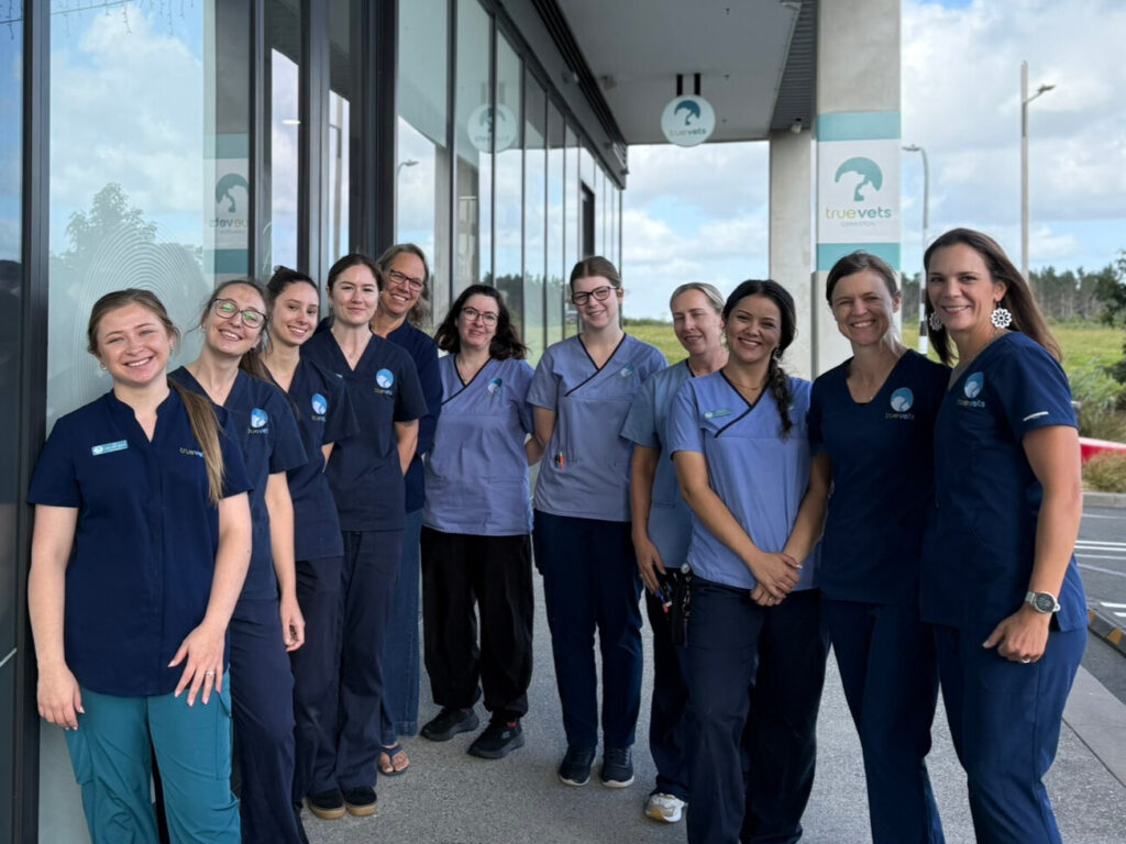 The Aircare vets team